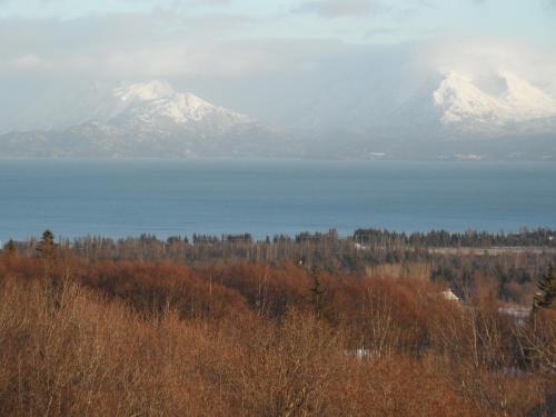a view of a lake with snow covered mountains at Homer Stay and Play in Homer