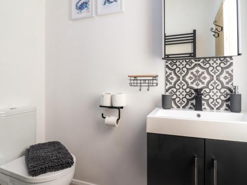 a bathroom with a sink and a toilet and a mirror at Tan Llech in Harlech