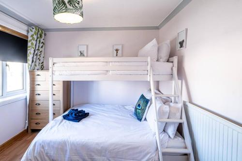 a bedroom with a bunk bed with a ladder at Seaside Home with Sea Views in Balmedie