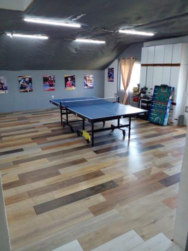 a ping pong table in the middle of a room at Apartman Maksimović Banja Luka in Česma