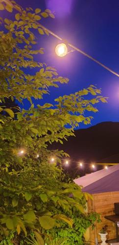 a street light with a tree in front at les filatures in Saint-Vincent-de-Reins