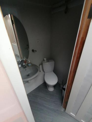 a bathroom with a toilet and a sink and a mirror at Apartments Londa in Jūrmala