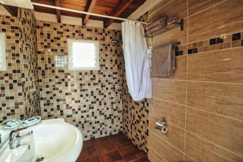 a bathroom with a sink and a shower at Finca Vino Tinto 1 in Icod de los Vinos
