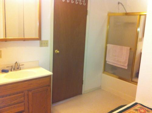 a bathroom with a shower and a sink at Homer Stay and Play in Homer