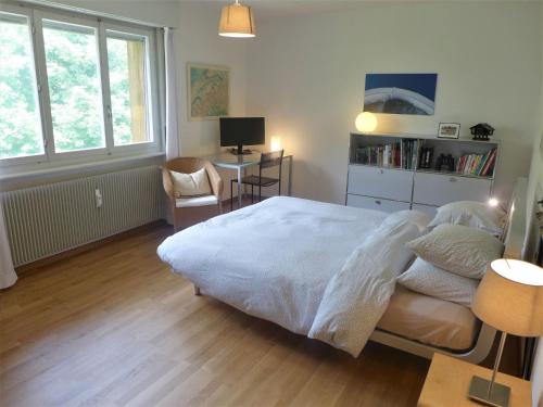 una camera da letto con un letto, una scrivania e una sedia di Apartment Belmont Est 80 by Interhome a Vermala