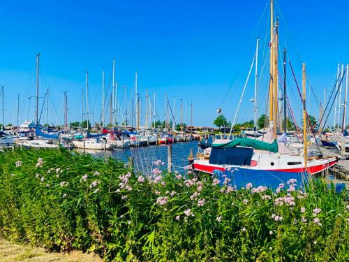 a bunch of boats docked in a marina with flowers at Holiday Home Jachthaven Oostmahorn by Interhome in Anjum
