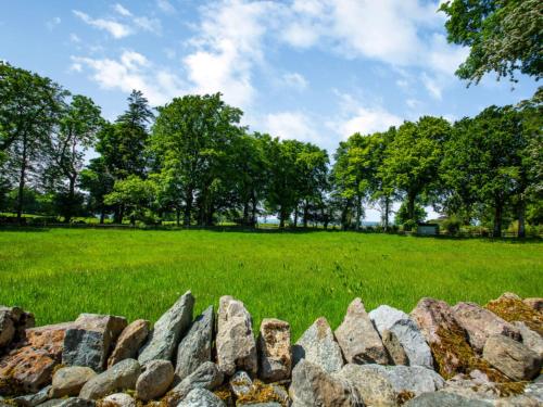 CaeathroにあるHoliday Home Ty Llan by Interhomeの木の畑前の石垣