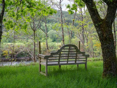 um banco de parque sentado na relva ao lado de uma árvore em Chalet Rowan Cottage by Interhome em Inverness