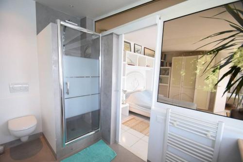 a bathroom with a shower and a toilet in it at FRONT BEACH PENTHOUSE in Éze