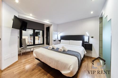 a bedroom with a large bed and a tv at Borda Candia,jacuzzi ,Parking in Encamp