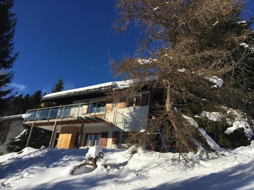une maison dans la neige avec un arbre dans l'établissement Apartment Forigel UG by Interhome, à Valbella