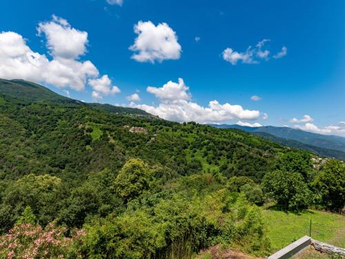 widok na wzgórze z drzewami i niebieskim niebem w obiekcie Holiday Home Maison Penta by Interhome w mieście Penta-di-Casinca