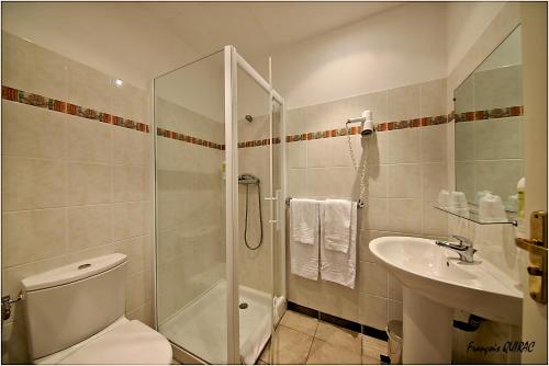 a bathroom with a shower and a toilet and a sink at Auberge des Deux Sorru in Bains de Guagno