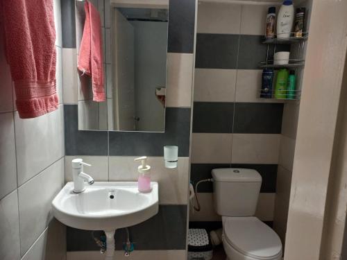 Un baño pequeño con lavabo e inodoro. en Velvet, en Perea