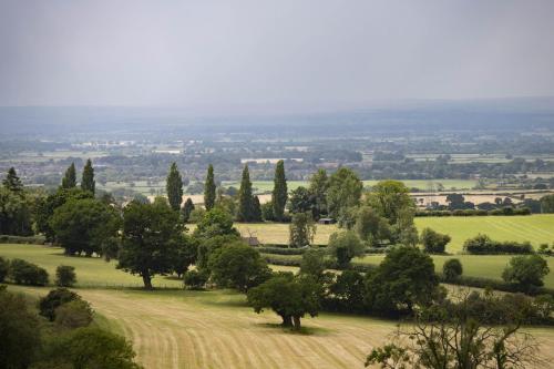 a field with trees in the middle of a field at Five Acres in Thirsk
