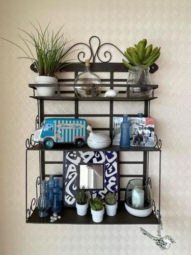 une étagère avec des plantes et d’autres articles sur celle-ci dans l'établissement - Le Montauban - Appartement avec grande terrasse, à La Chaume