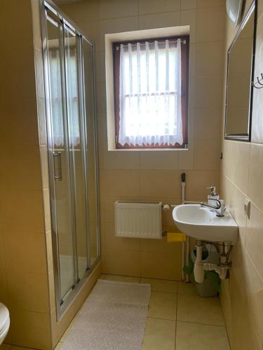 a bathroom with a sink and a shower at Przed Korzeniowym in Kazimierz Dolny