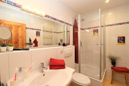 阿伦斯霍普Haus Kienappel Haus Kienappel, App 02的带水槽、淋浴和马桶的浴室