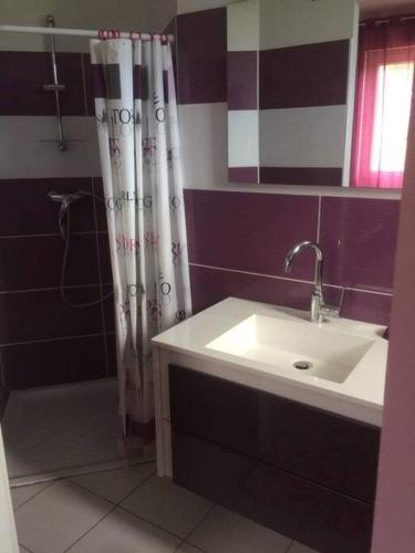 une salle de bain avec un lavabo et une douche dans l'établissement Belle maison Vallée du Lot., à Prayssac