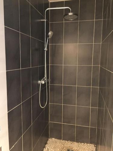une douche avec pommeau de douche dans une salle de bain dans l'établissement Maison Moderne Avec Piscine Chauffée Dans la Baie du Mont st Michel 200m2, à Yquelon