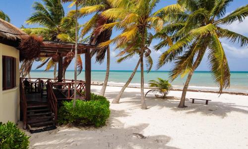 a house on the beach with palm trees and the ocean at Grand Slam Fishing Lodge Tulum in Punta Allen