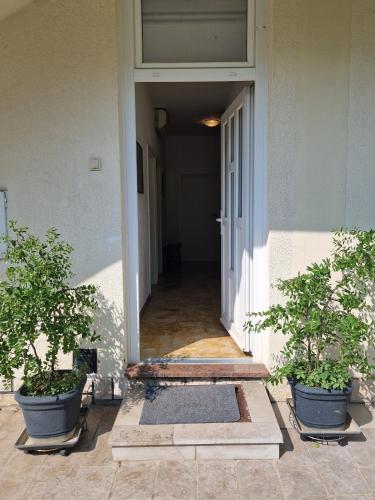 a hallway of a building with two potted plants at Lavanda Apartment in Izola