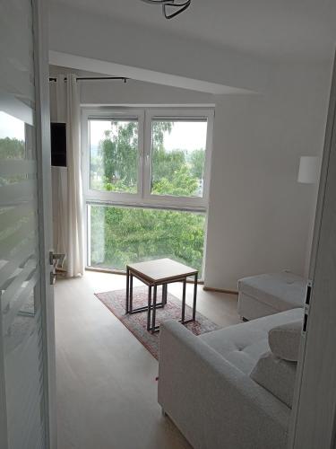 a living room with a couch and a table in front of a window at Apartament Sądecki in Nowy Sącz