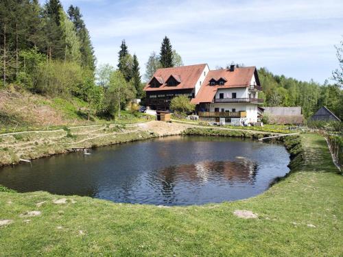 een huis en een vijver voor een huis bij Alluring Apartment in Sch nsee in the forest in Schönsee