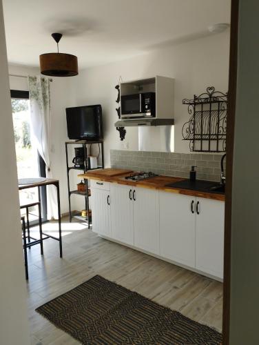 Η κουζίνα ή μικρή κουζίνα στο Studio de charme en Provence