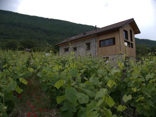 La Char'Vigne – Photos 3