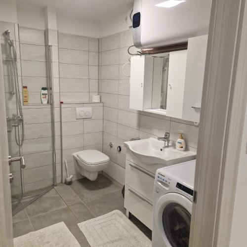 y baño con lavamanos y lavadora. en Apartman Maksimirska 89 Zagreb, en Zagreb