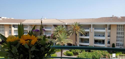 OPEN, T2 42m2, 4 personnes, clim, balcon, piscine
