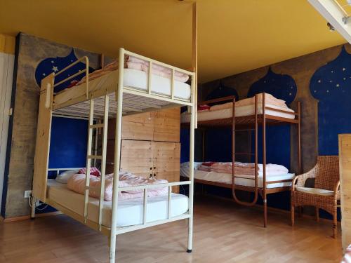 a bunk bed room with two bunk beds at Oldtown Hostel Otter in Zürich