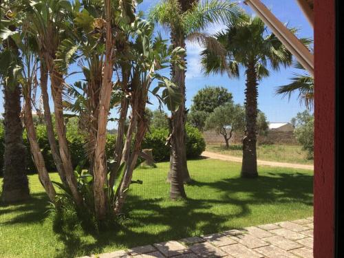 Masseria Patese 2