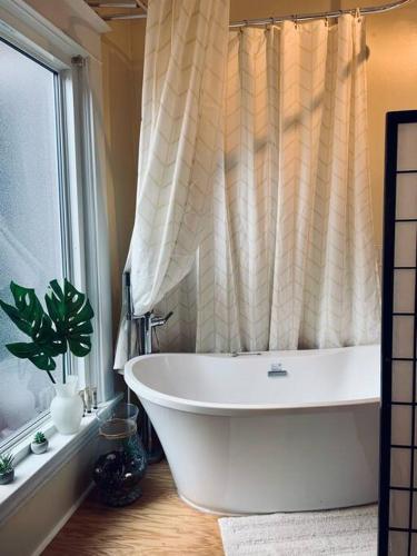 237 Charming Studio – Photos 2
