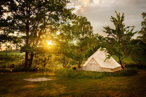 a tent in the middle of a field with trees at Glamping Hive 