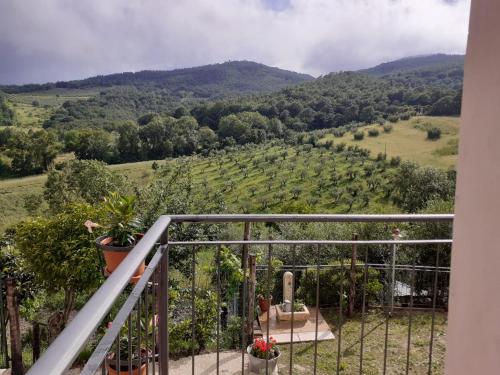 a balcony with a view of a vineyard at Costa del sole 42 in Cetona