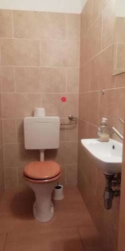 a bathroom with a toilet and a sink at VIP-Camping, zelten im Garten in Weischlitz