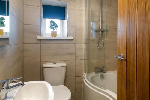 uma casa de banho com um WC, um lavatório e um chuveiro em NEW Romantic, dog friendly hideaway, Snowdon views em Caernarfon