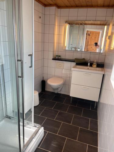 uma casa de banho com um WC, um lavatório e um espelho. em Central in Stavanger, walk to town em Stavanger