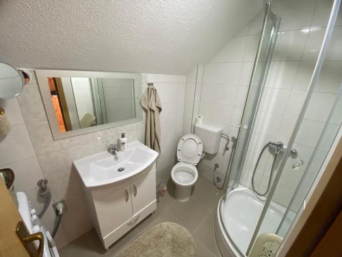 ein Bad mit einem Waschbecken, einem WC und einer Dusche in der Unterkunft PURE NATURE in Visoko