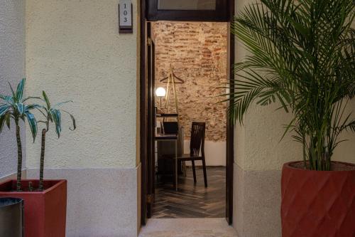 a hallway with two potted plants and a table at Soy Local Insignia in Cartagena de Indias