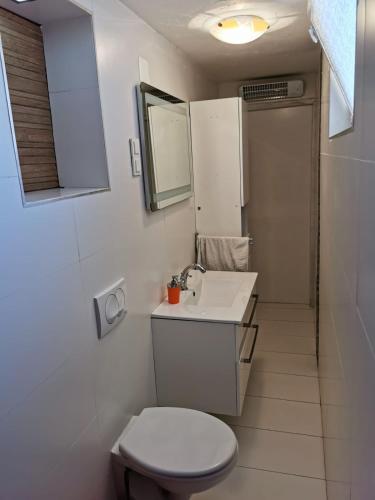 a bathroom with a toilet and a sink and a mirror at UNIQUE Apartments Malinska in Malinska