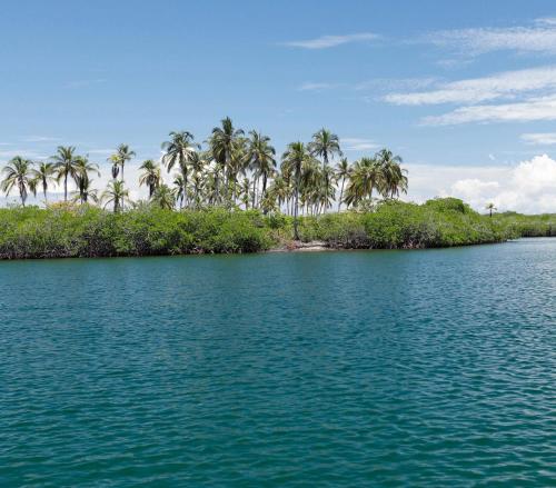 a large body of water with palm trees in the background at Tintipan Cabana SalSiPuedes in Tintipan Island