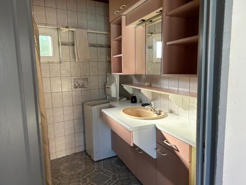 a small bathroom with a sink and a mirror at 2 à 4 pers appartement dans Maisonnette piscine chambre double salle de bain privatif in Saint-Amarin