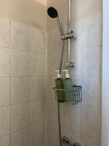 La salle de bains est pourvue d'une douche avec 2 bouteilles vertes. dans l'établissement Le Gambetta, Bel appartement lumineux en plein centre-ville à Fourchambault, à Fourchambault