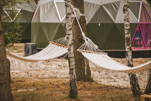 a hammock hanging from two trees in front of a tent at Čiki Puki Glamping in Palanga