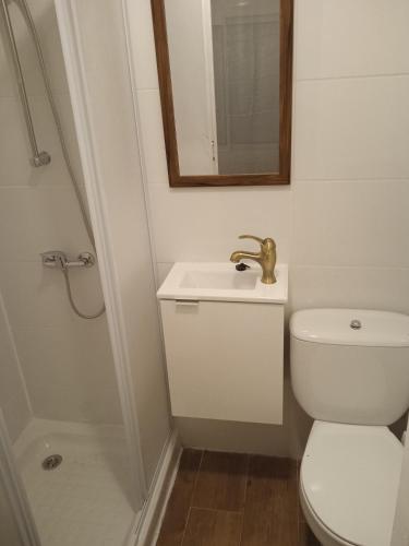 uma casa de banho com um WC, um lavatório e um chuveiro em HABITACIÓN ECONÓMICA CON BAÑO PRIVADO EN PLENO CENTRO DE FIGUERES em Figueres