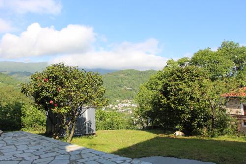 a view of a garden with mountains in the background at Camellia Guesthouse in Anilio Pelion