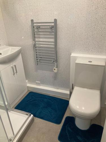 a bathroom with a white toilet and a sink at Caban Croeso-The Welcome Cabin, Holiday let, near Mansion House Llansteffan in Llanstephan